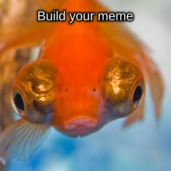 meme generator image preview