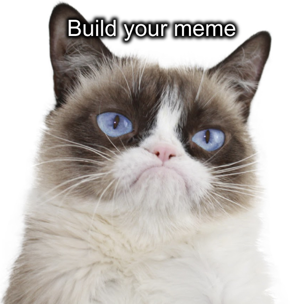 meme generator image preview